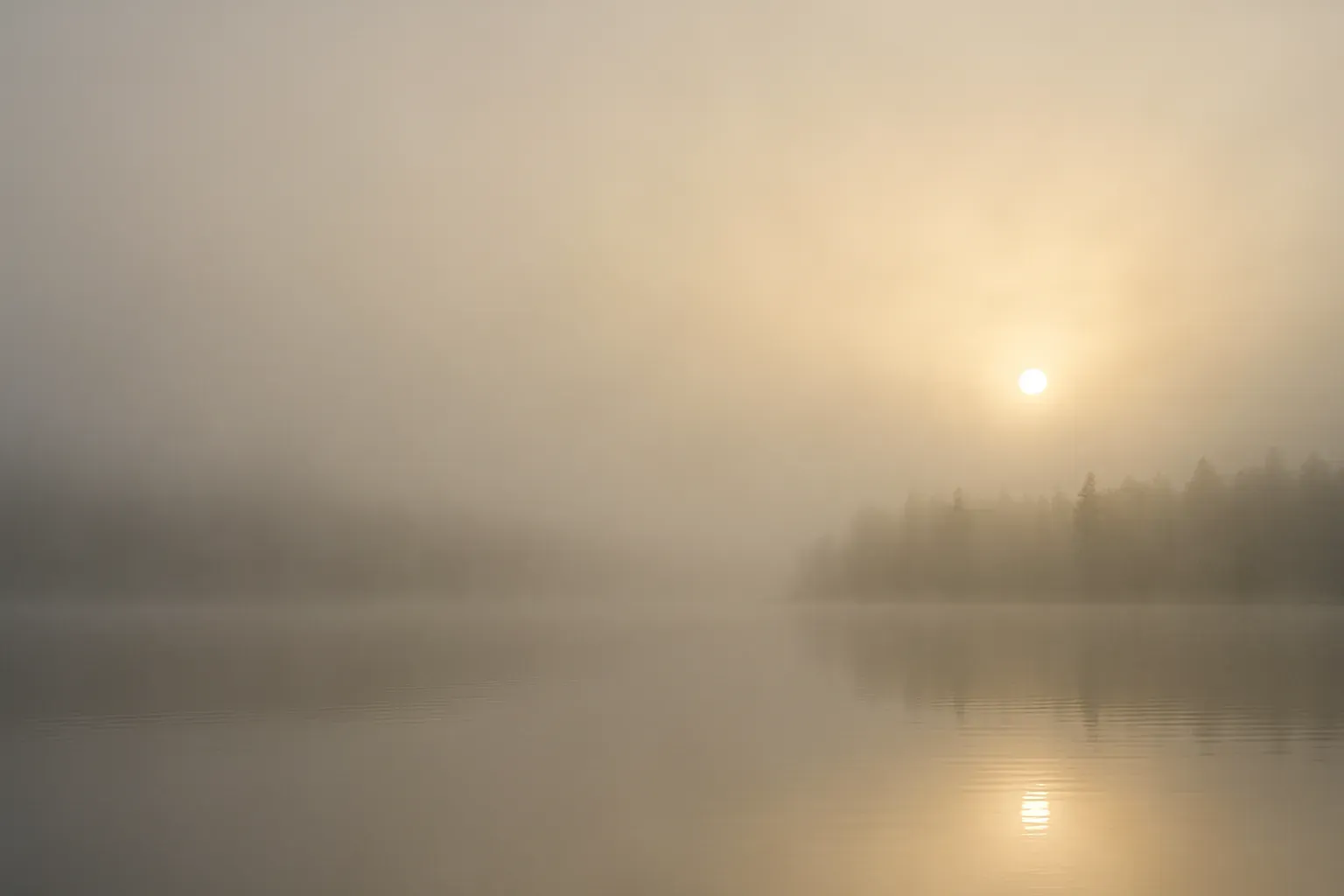 Vaalea paperiarkki järven usvaa vasten
